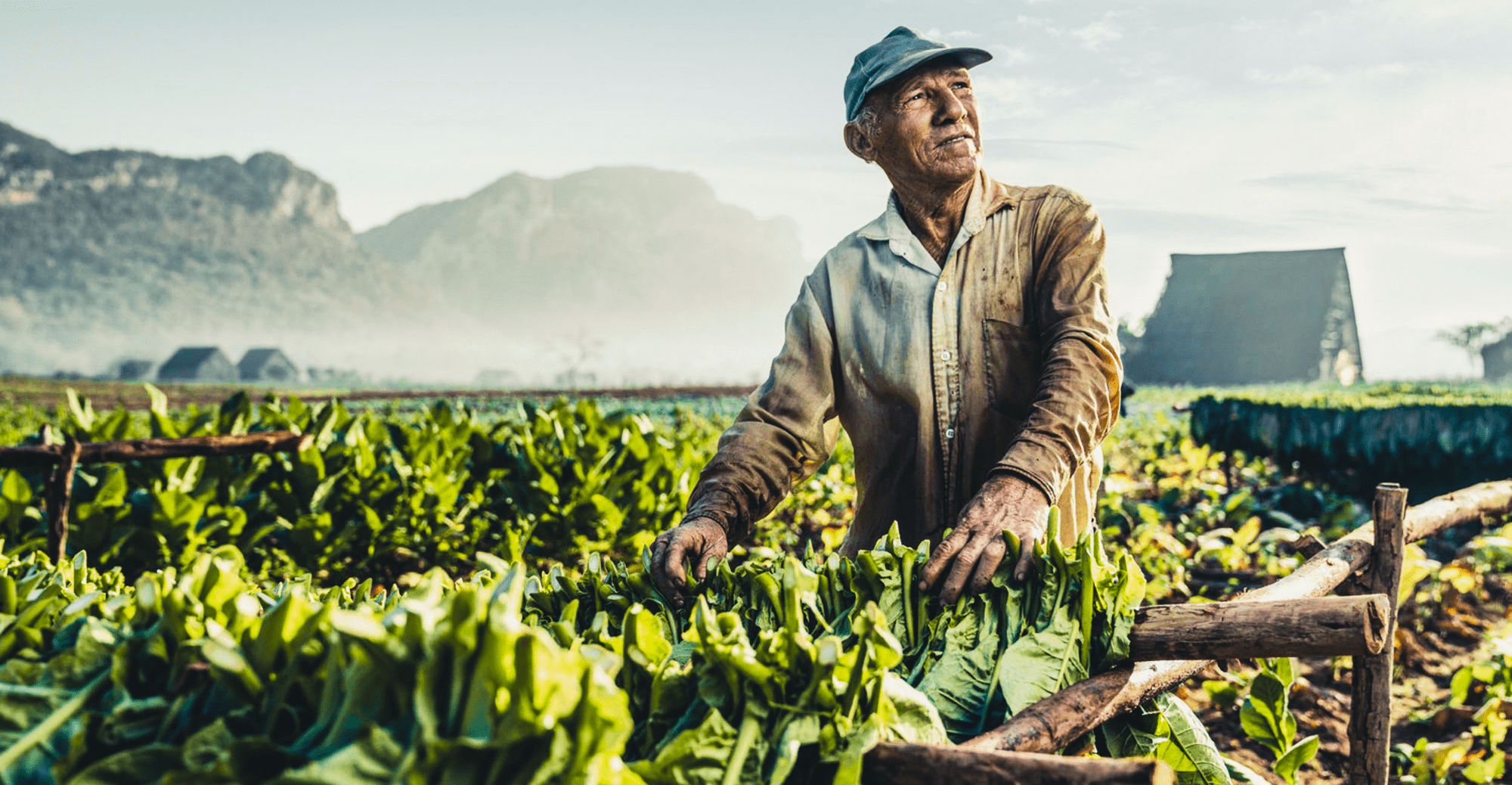 Министр сельского хозяйства прибыл с официальным визитом в область